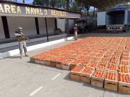 Bermejo: Incautan 25 mil bolivianos en contrabando