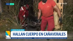 Hallan muerto a un hombre entre los cañaverales del Plan Tres Mil