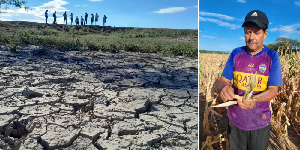 “Hay una disminución de toda la producción agrícola”, alerta la CAO que urge la biotecnología