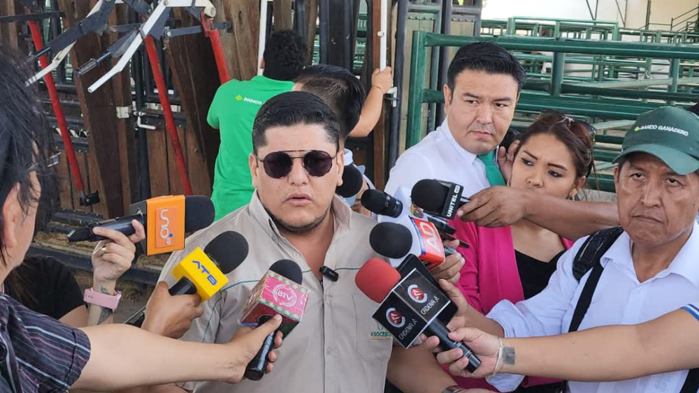 La importancia de la logística en los juzgamientos de ganado bovino