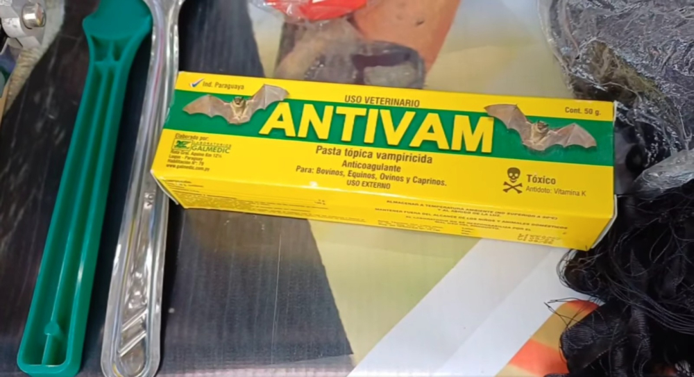 Confirman caso de rabia bovina en Villa Vaca Guzmán y activan campaña de inmunización