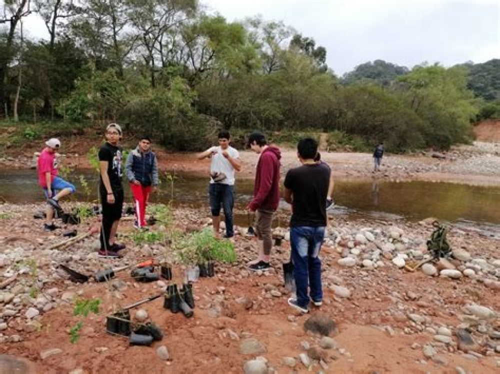 Concejal exige que se priorice la reforestación en áreas ribereñas para mitigar inundaciones