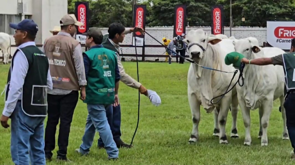 Benianos absorben conocimientos y amplían sus habilidades en la Agropecruz