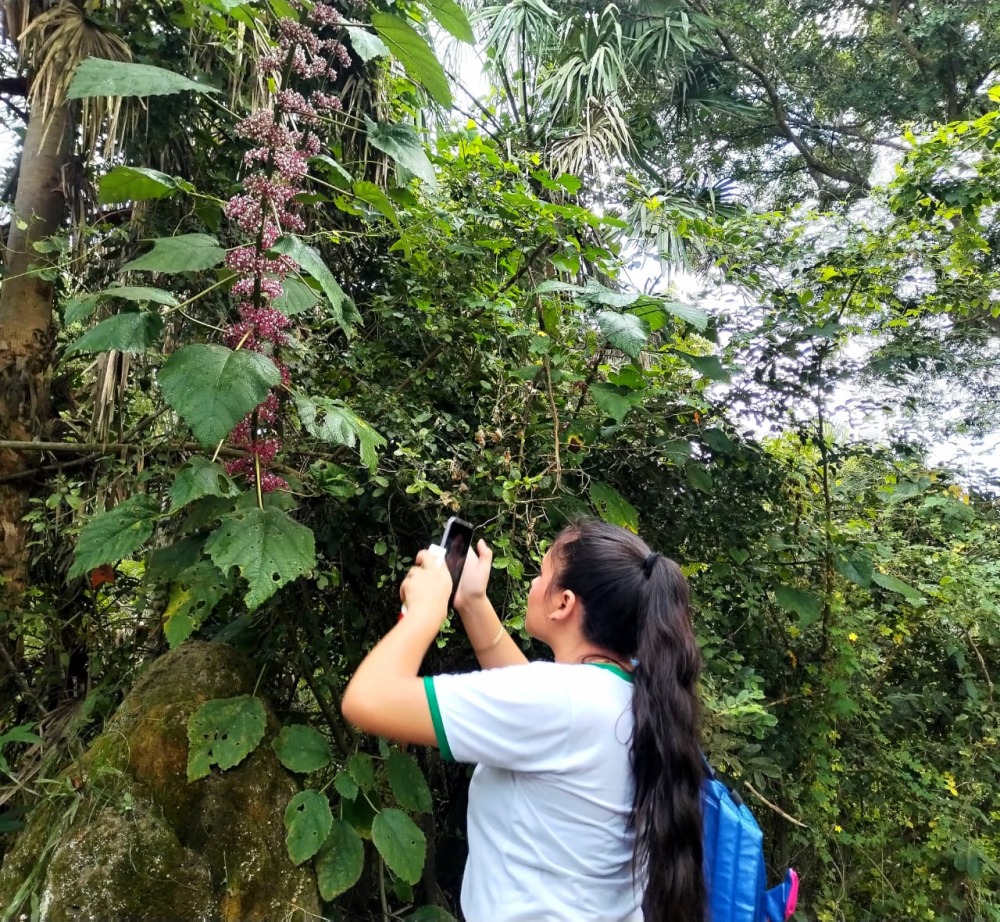 BIOBLITZ entrenamiento previo para el Reto Ciudad Naturaleza Trinidad 2025
