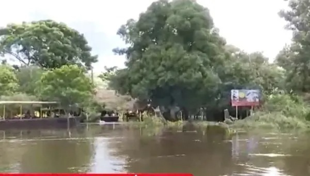 Inundaciones en Puerto Ballivián afectan cultivos y dejan sin sustento a familias