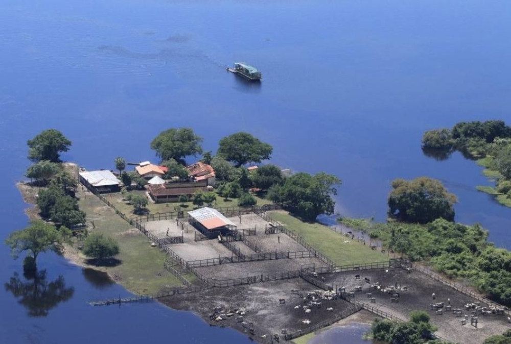 Lecheros de San Javier y Loreto, los más golpeados por el agua