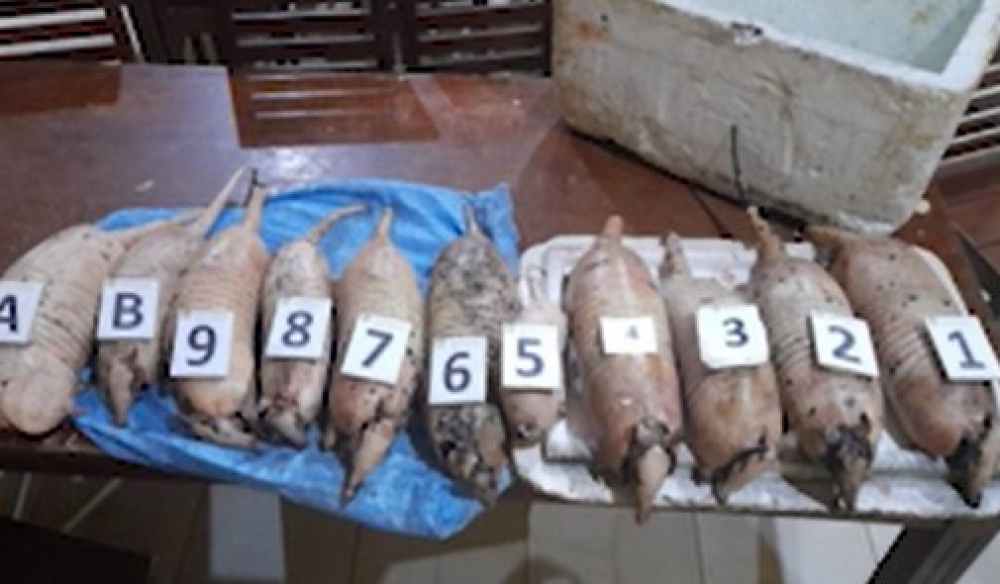 Pofoma decomisa carne de animales silvestres y pescado Trinidad