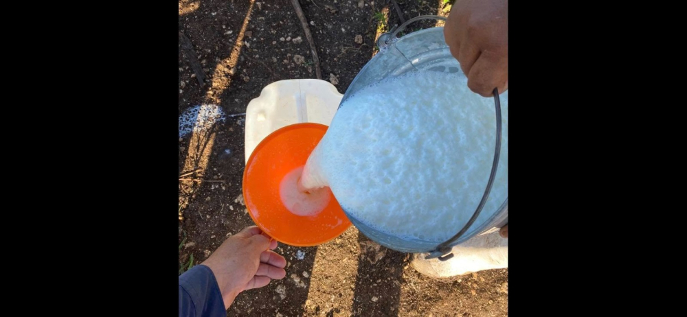 Productores de leche esperan respuesta del Gobierno sobre reajuste del precio a Bs 6