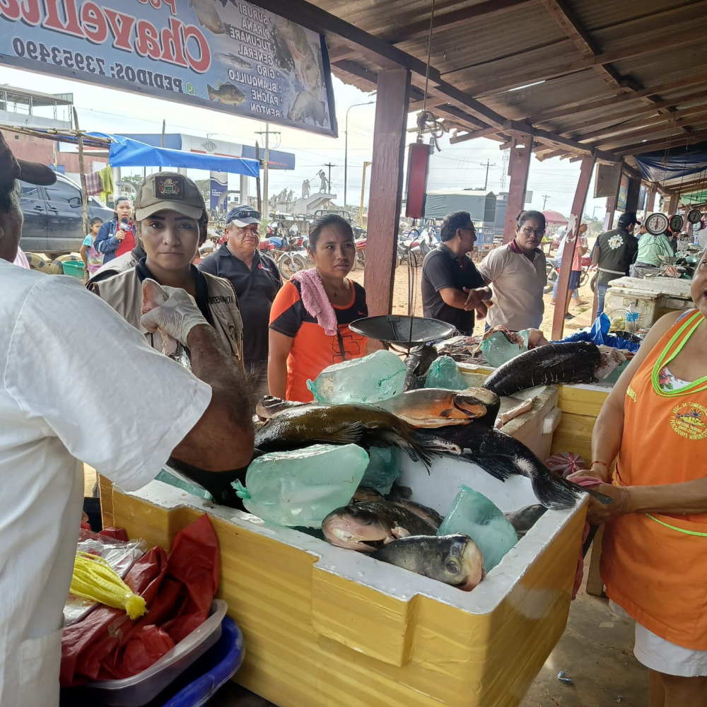 Intendencia de Trinidad supervisa precio y calidad en venta de pescado