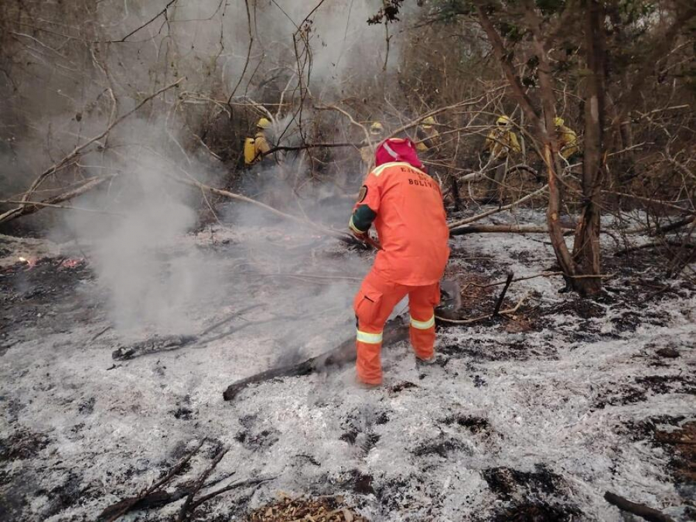 ABT activa 48 procesos penales por incendios en Beni y Santa Cruz
