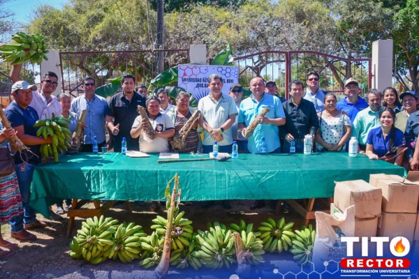 Producción: UAB entrega 1.500 hijuelos de plátano brasileño a campesinos benianos