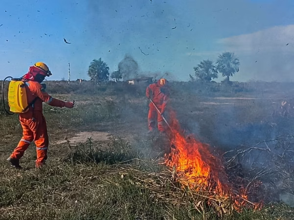 Policía advierte con sanciones a quienes afecten la flora y la fauna con incendios