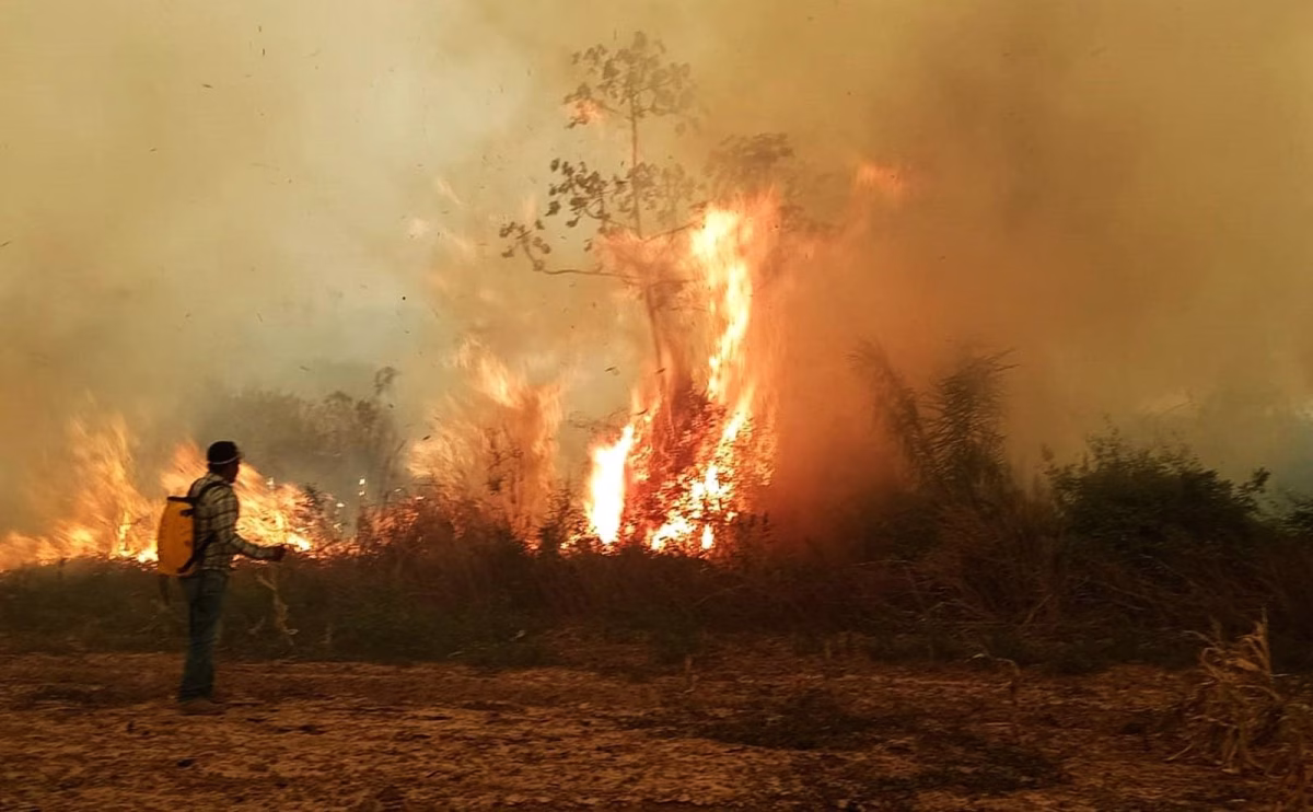 Medio Ambiente advierte sobre incremento de incendios y anuncia sanciones a responsables