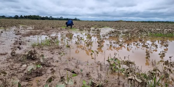 Campesinos del Beni piden apoyo urgente ante pérdidas por incendios e inundaciones