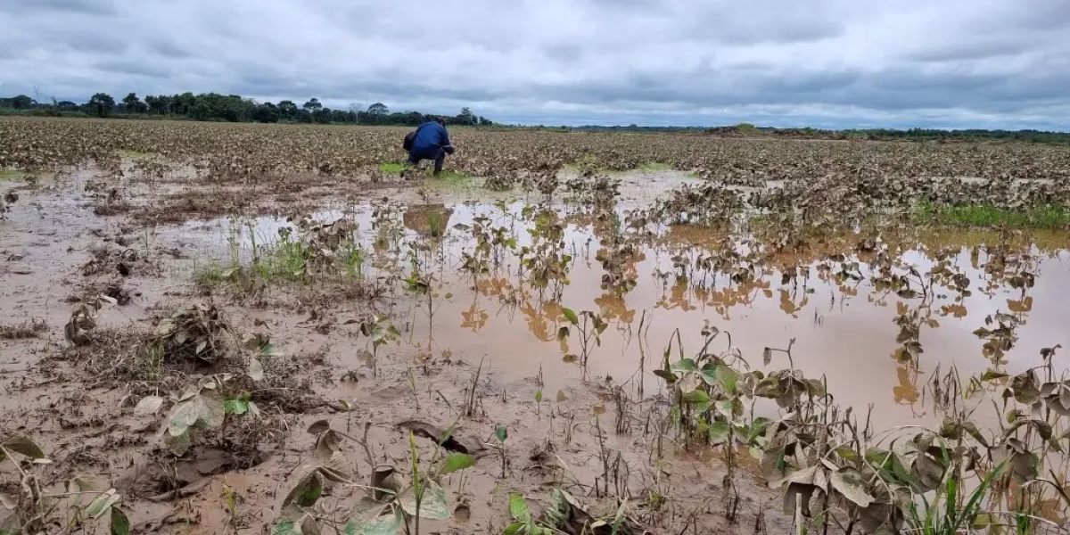 Campesinos del Beni piden apoyo urgente ante pérdidas por incendios e inundaciones