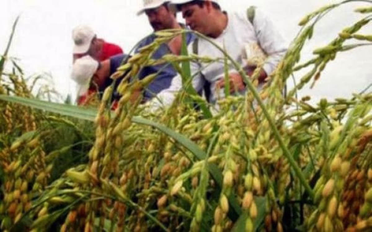 BENI APRUEBA LA AGENDA DE DESARROLLO RUMBO AL BICENTENARIO 2042