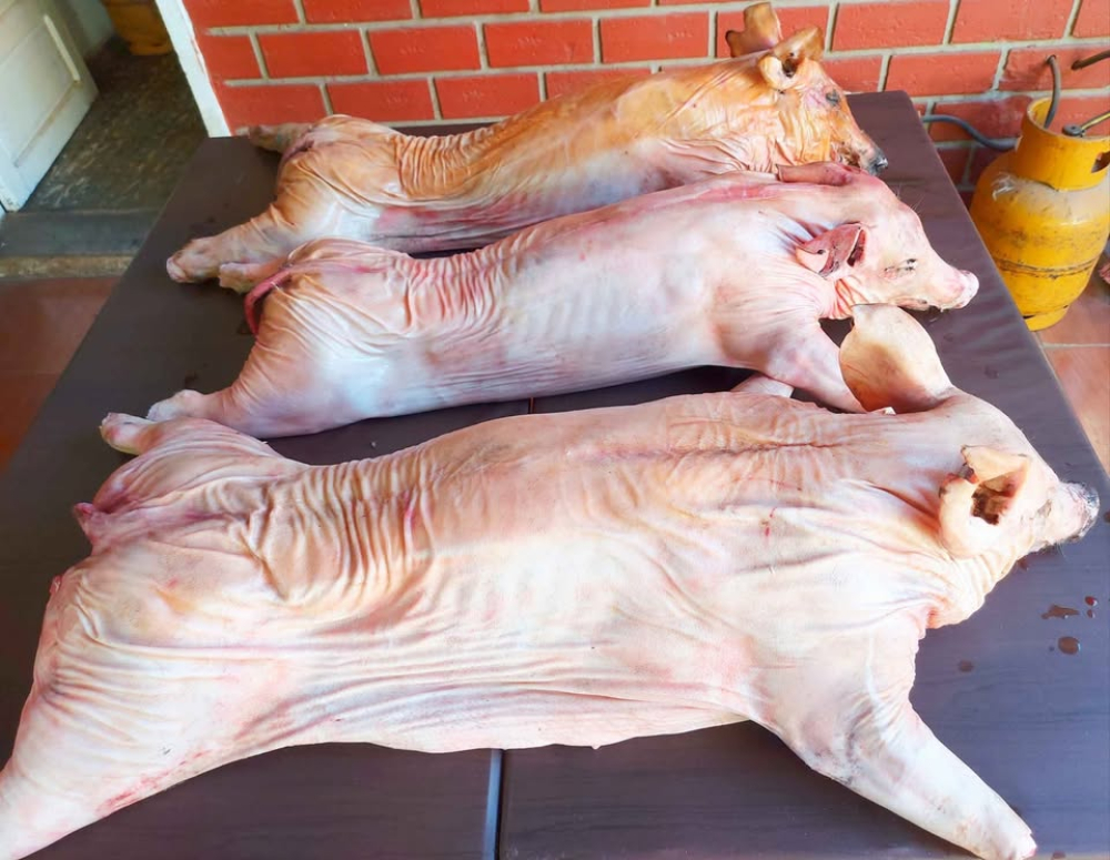Incremento en el precio del kilo de chancho genera sorpresa en consumidores