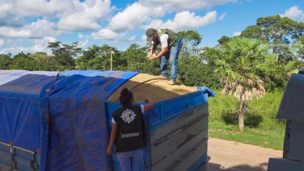 SENASAG  Inicia acciones para garantizar provisión de arroz