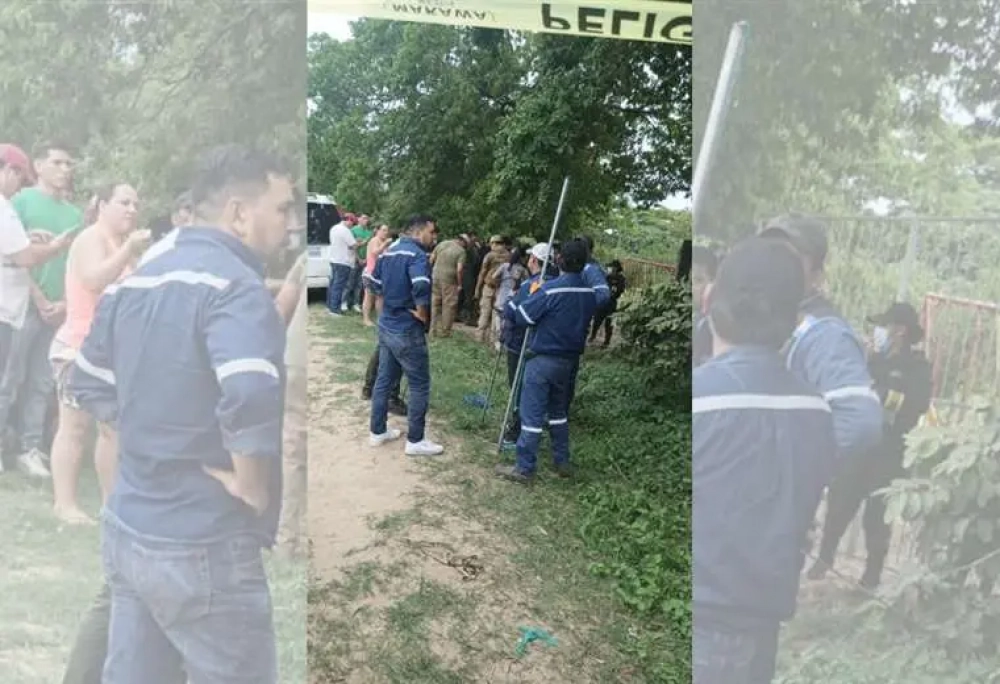 Segundo perro pitbull se encuentra en buen estado y permanecerá bajo observación durante 14 días