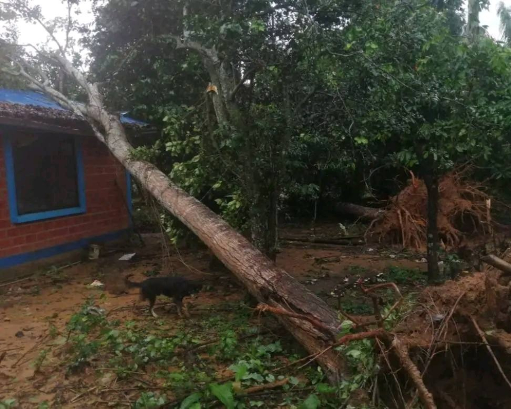 Fuertes vientos huracanados azotan y dejan en zozobra a Villa Gonzáles