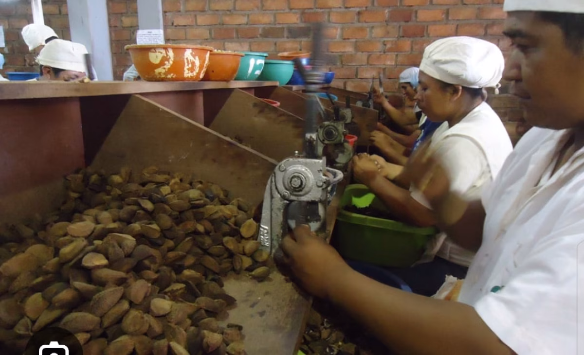 FABRILES gestiona apertura de la carrera de Turismo en Riberalta