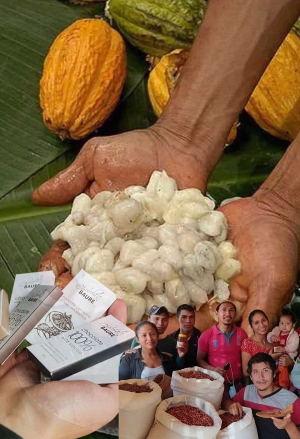 Tenemos el Cacao más puro del mundo y el mundo  tiene que saberlo.