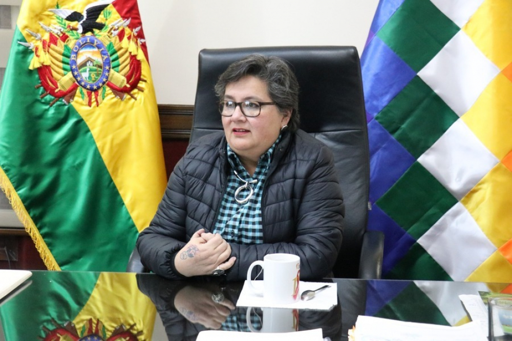 Gobierno declara ilegal  paro médico por proyecto  de ley que no afecta  relaciones laborales