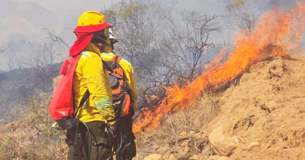 ¿QUE TAN PREPARADA ESTA BOLIVIA PARA ENFRENTAR LOS INCENDIOS?
