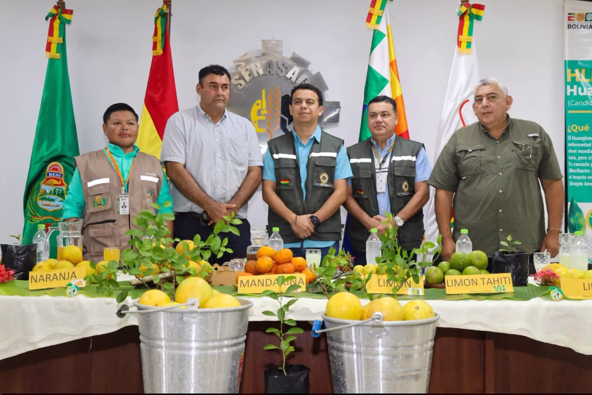SENASAG REFUERZA VIGILANCIA PARA MANTENER AL BENI LIBRE DEL HLB