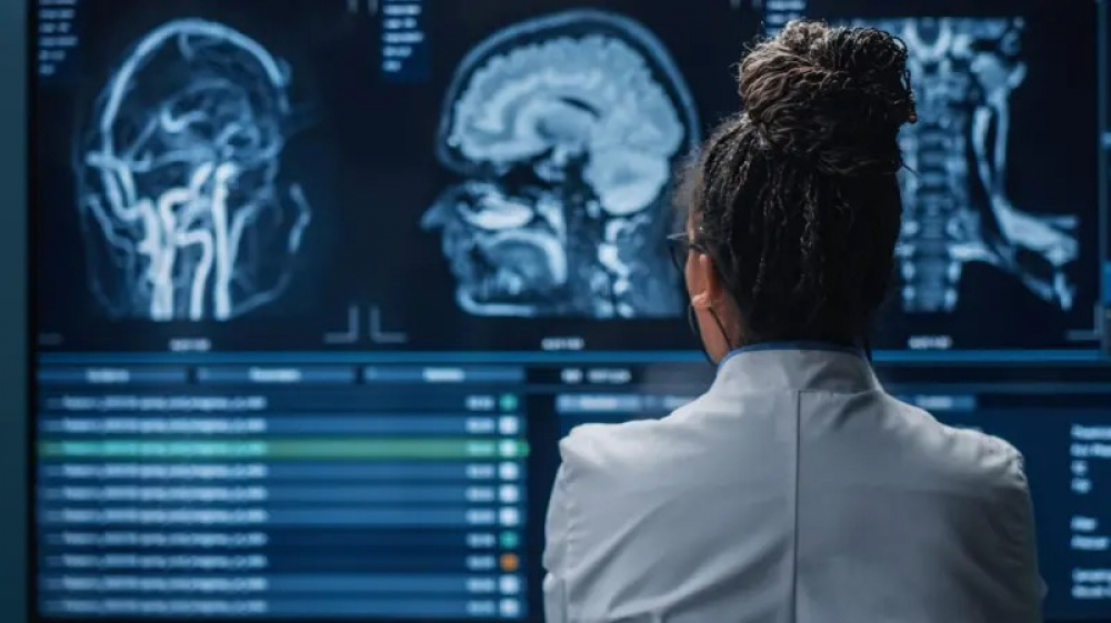 ¿Qué pasa en el cerebro cuando estamos muriendo?: lo que descubrió la neurocientífica Jimo Borjigin