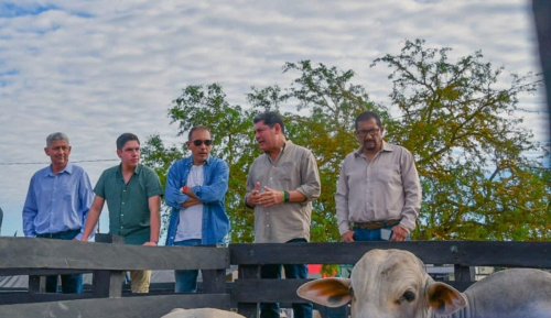 La Fexpocebú está en marcha con innovaciones en el campo de la genética