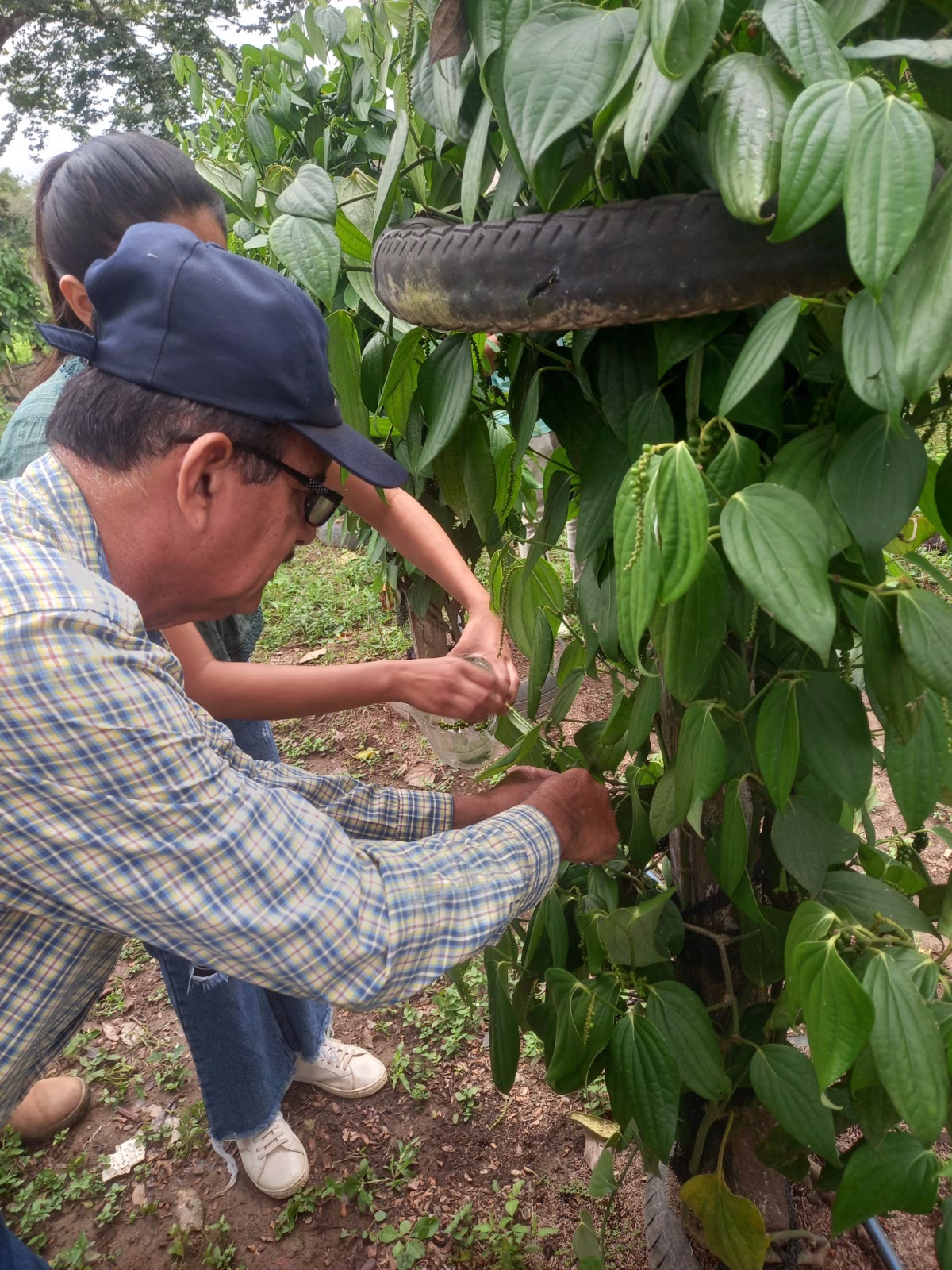 GOBERNACIÓN Y UABJB ARTICULAN ESFUERZOS PARA FORTALECER LA INVESTIGACIÓN Y PRODUCCIÓN AGROPECUARIA EN EL BENI