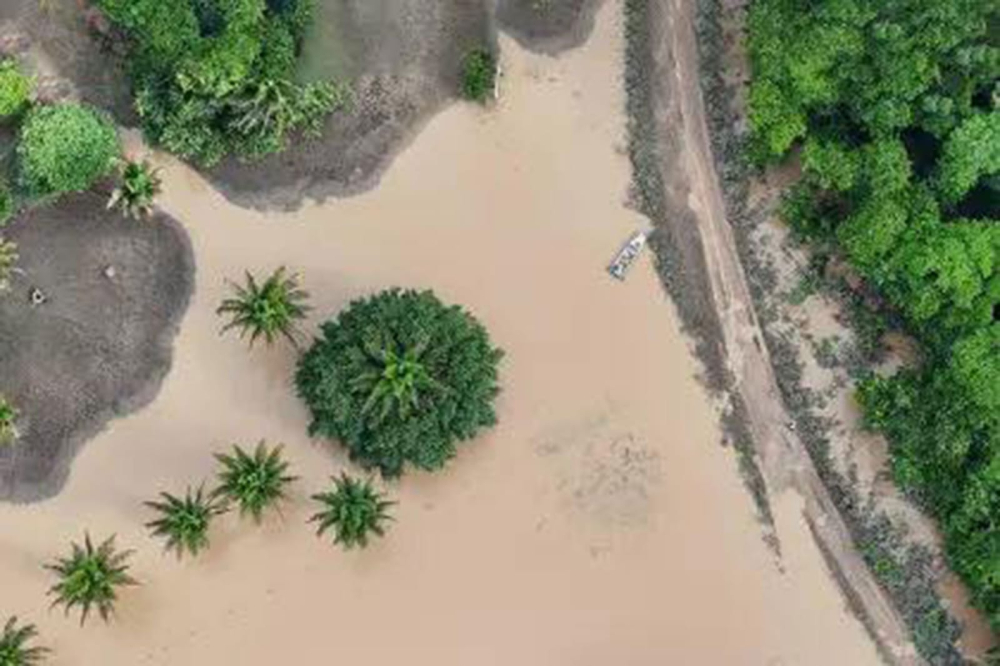 Alto Beni se declara en desastre por inundaciones y deslizamientos