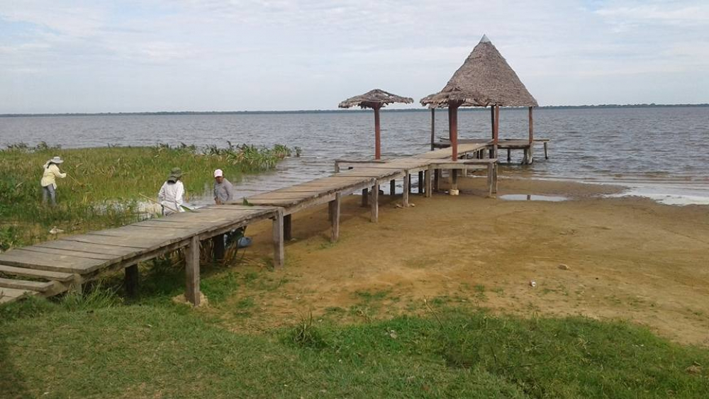 Mojos en alerta: Foro revela crítica  situación de la laguna Isireri y sus afluentes