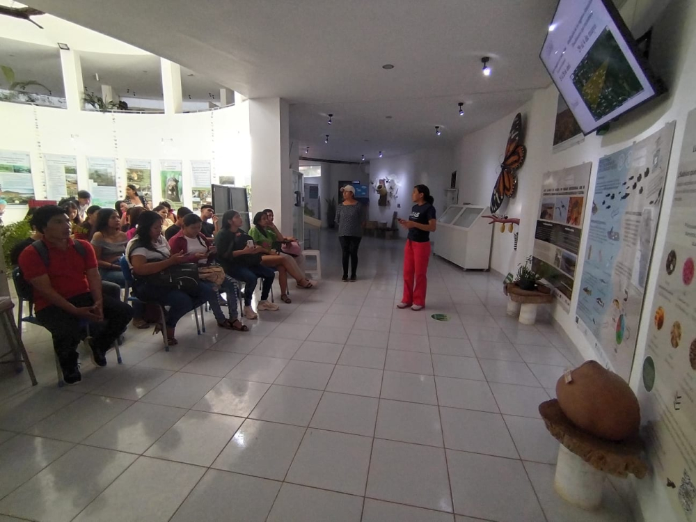 UAB celebra el Día Mundial de Museos con actividades educativas