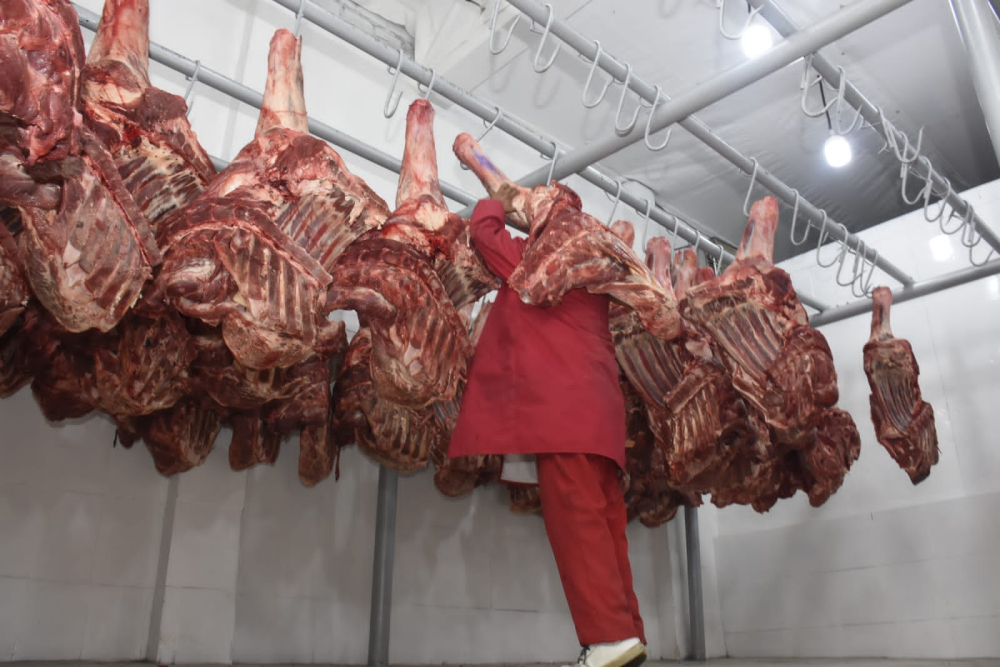 Ganaderos bajan precio de la carne tras mejora en caminos y un clima favorable
