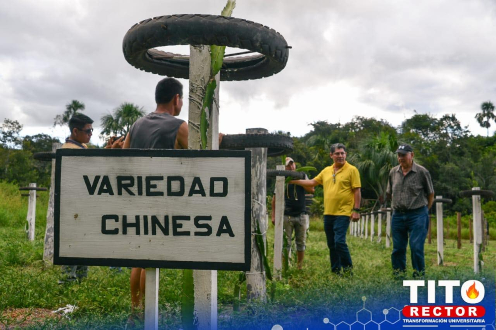 UABJB gestiona financiamiento externo para un Proyecto de energía fotovoltaica