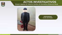 Confesó su embarazo y fue golpeada por  su novio: Adolescente con 12 días de impedimento