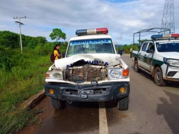 Ambulancia sufre accidente tras chocar con un caballo.