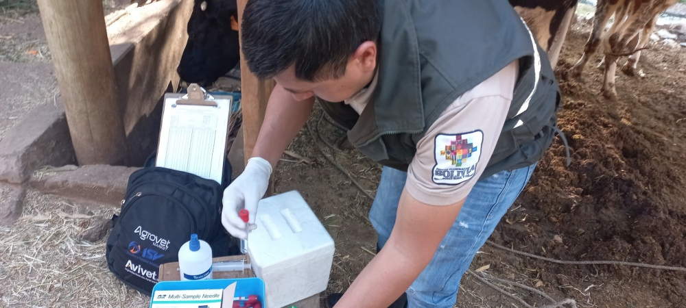 Senasag inicia capacitación para campaña contra la brucelosis bovina y bufalina