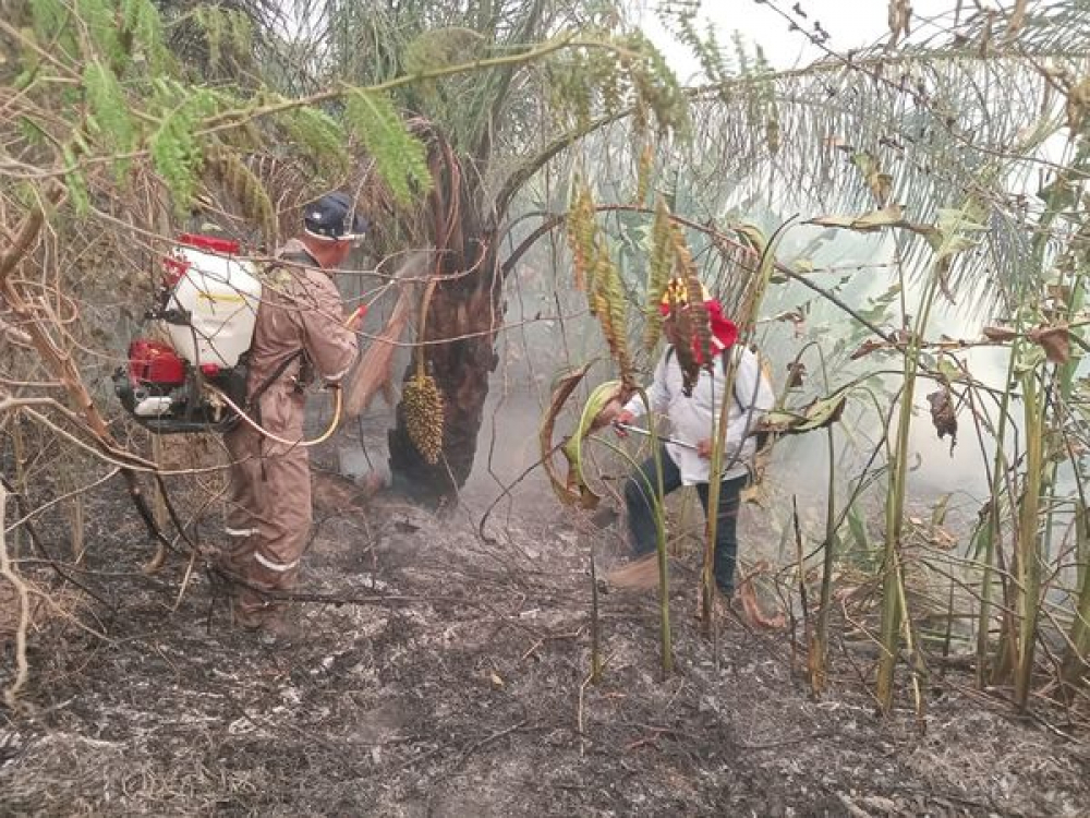 Lluvias apagaron el 70% de los incendios en Santa Cruz y el 90% en Beni, según el Gobierno