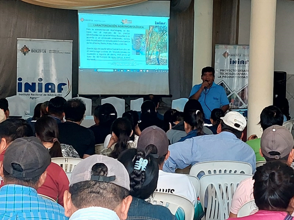 Congreso del Cacao delineó metas para promocionar genética silvestre del cacao beniano