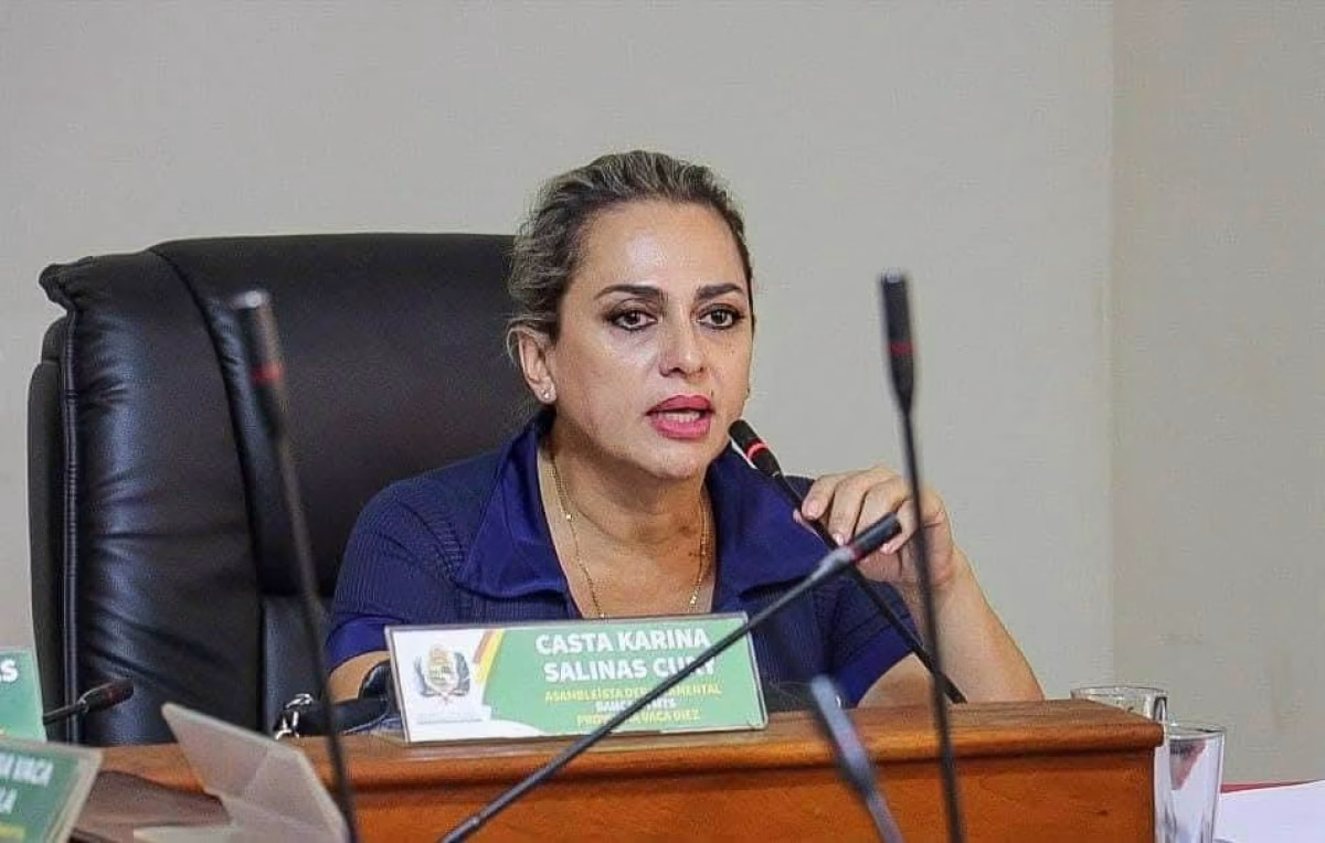 ASAMBLEÍSTA EXIGE LA RENUNCIA DE LA PRESIDENTA DE LA ALDB POR ABANDONO INSTITUCIONAL
