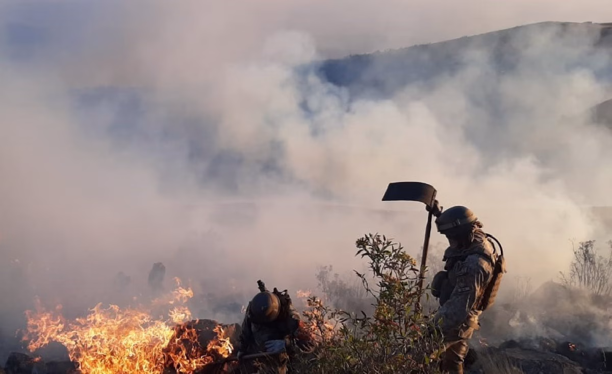 COMBATEN 10 INCENDIOS FORESTALES ACTIVOS EN BENI Y SANTA CRUZ