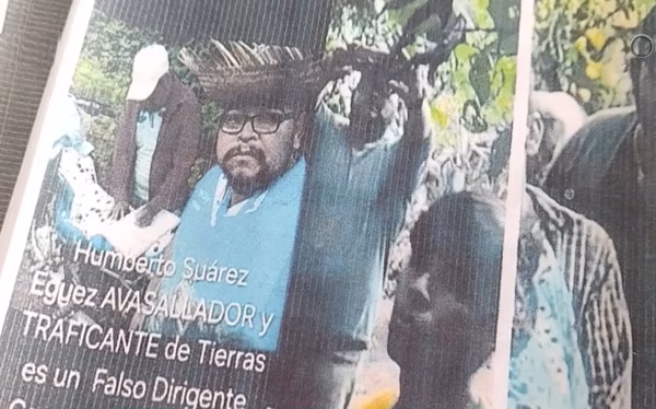 Productores de goma y almendra denuncian como avasallador a senador electo por PDC